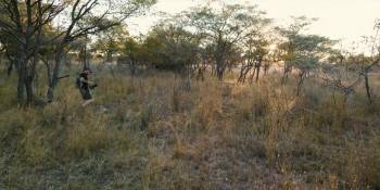 Screenshot 1 from Pangolin: Kulu's Journey (Full Movie)