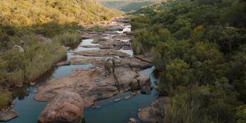 Screenshot 2 from Pangolin: Kulu's Journey (Full Movie)