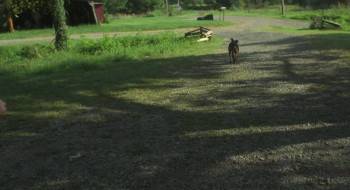 Screenshot 1 from Papaw Land (Full Movie)