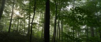 Screenshot 1 from Paradise (Full Movie)