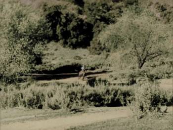 Screenshot 2 from Paradise Canyon (Full Movie)