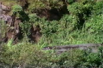 Screenshot 1 from Parent Trap: Hawaiian Honeymoon (Full Movie)