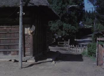 Screenshot 2 from Pastoral: To Die in the Country (Full Movie)