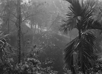 Screenshot 2 from Pather Panchali (Full Movie)