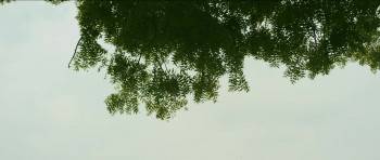 Screenshot 2 from PB0931 (Full Movie)