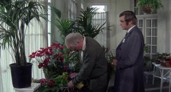 Screenshot 2 from Penny Gold (Full Movie)