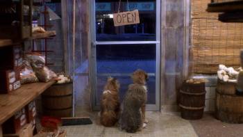 Screenshot 1 from Pet Shop (Full Movie)