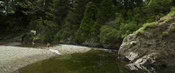 Screenshot 1 from Pete's Dragon (Full Movie)
