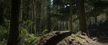 Screenshot 2 from Pete's Dragon (Full Movie)
