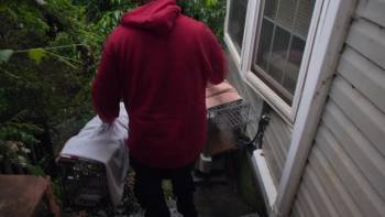 Screenshot 2 from Pets (Full Movie)