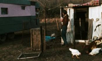 Screenshot 2 from Pink Flamingos (Full Movie)
