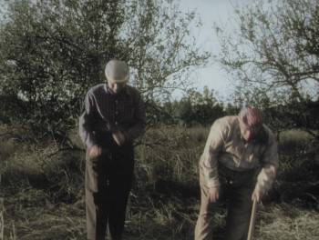 Screenshot 1 from Plan 9 from Outer Space (Full Movie)