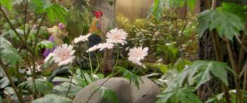 Screenshot 2 from Plop en de kabouterbaby (Full Movie)