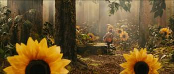 Screenshot 2 from Plop wordt kabouterkoning (Full Movie)