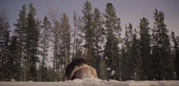 Screenshot 1 from Polaris (Full Movie)
