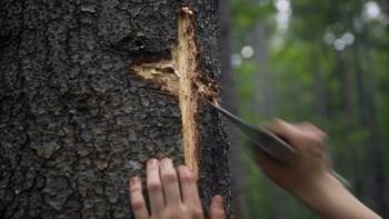 Screenshot 3 from Polish Prayers (Full Movie)