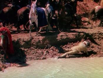 Screenshot 2 from Pony Soldier (Full Movie)