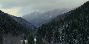 Screenshot 2 from Prancer: A Christmas Tale (Full Movie)