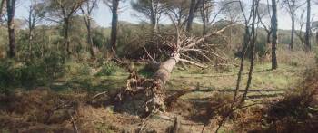 Screenshot 1 from Princess (Full Movie)