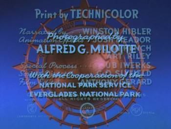 Screenshot 1 from Prowlers of the Everglades (Full Movie)