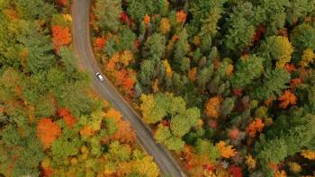 Screenshot 1 from Pumpkin Everything (Full Movie)