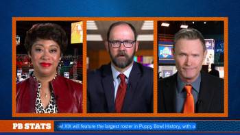 Screenshot 3 from Puppy Bowl XIX Pregame Show (Full Movie)