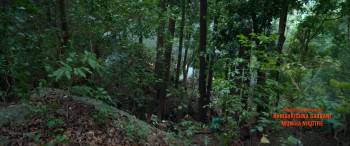 Screenshot 2 from Pushpa: The Rule - Part 2 (Full Movie)