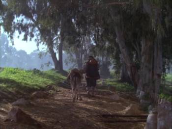 Screenshot 2 from Puss in Boots (Full Movie)