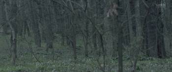 Screenshot 1 from Queen Marie of Romania (Full Movie)