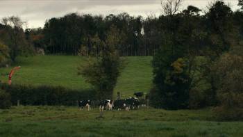 Screenshot 1 from Rachael Blackmore: A Grand Year (Full Movie)