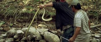 Screenshot 1 from Rambo (Full Movie)
