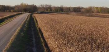 Screenshot 2 from Red (Full Movie)
