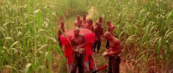 Screenshot 1 from Red Sorghum (Full Movie)