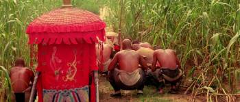 Screenshot 2 from Red Sorghum (Full Movie)