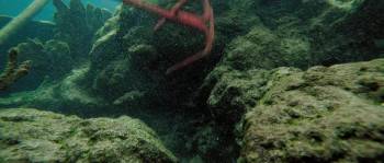 Screenshot 1 from Red Water (Full Movie)