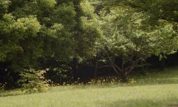 Screenshot 2 from Remembering Every Night (Full Movie)