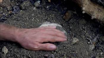 Screenshot 1 from Return of the Killer Shrews (Full Movie)