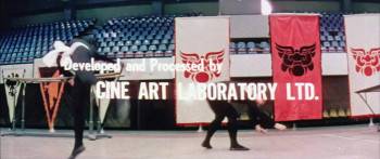 Screenshot 2 from Return of the Tiger (Full Movie)