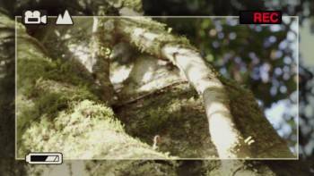 Screenshot 2 from Return to Nim's Island (Full Movie)