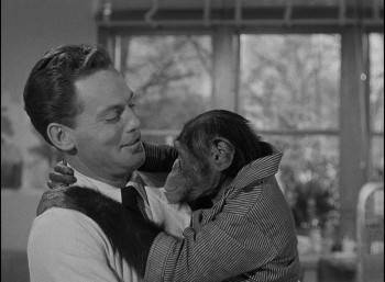 Screenshot 1 from Revenge of the Creature (Full Movie)