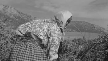 Screenshot 2 from Revenge of the Snakes (Full Movie)