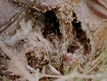 Screenshot 1 from REW FFWD (Full Movie)