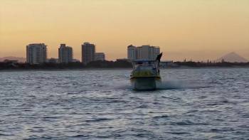 Screenshot 3 from Richard Freeman's Natural Universe (Full Movie)