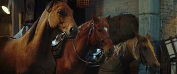 Screenshot 3 from Ride On (Full Movie)