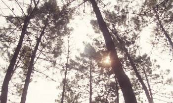 Screenshot 1 from Rimini Rimini (Full Movie)