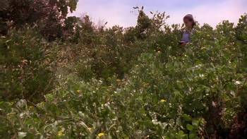 Screenshot 2 from Rip Girls (Full Movie)