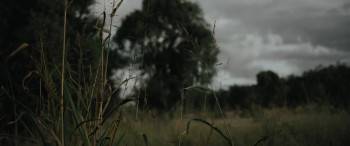 Screenshot 2 from Rippy (Full Movie)