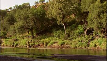 Screenshot 1 from Rivers of Giants (Full Movie)
