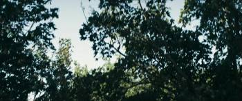 Screenshot 2 from Robin and the Hoods (Full Movie)