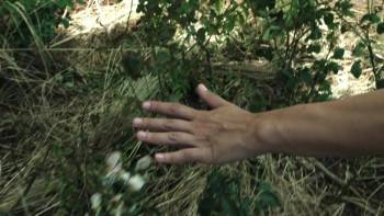 Screenshot 3 from Rocco Chinnici (Full Movie)